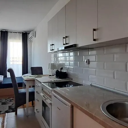 Road Warriors Daire Subotica