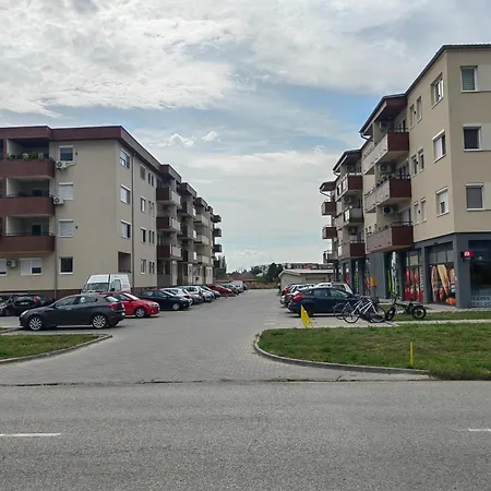 Road Warriors Daire Subotica